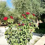 Alexandros Stone House Villa Nidrí