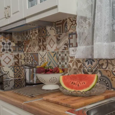 فيلة Alexandros Stone House نيدري