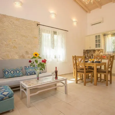 فيلة Alexandros Stone House نيدري