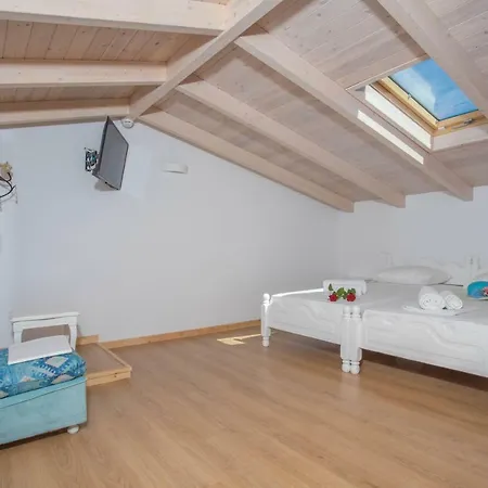 فيلة Alexandros Stone House نيدري