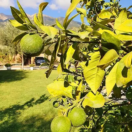 فيلة Alexandros Stone House نيدري