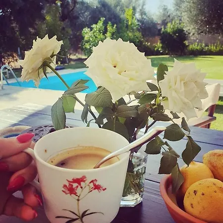 فيلة Alexandros Stone House نيدري