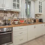 Villa Alexandros Stone House Nydri (Lefkada)
