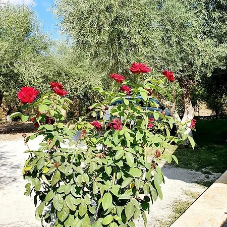 Alexandros Stone House Βίλα Νυδρί