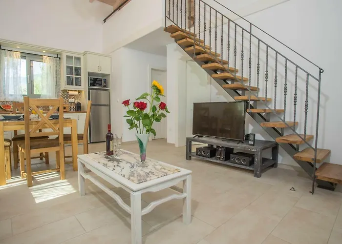 Villa Alexandros Stone House *