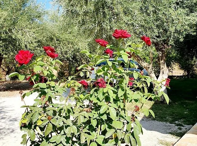 Alexandros Stone House Vilă Nydri (Lefkada)